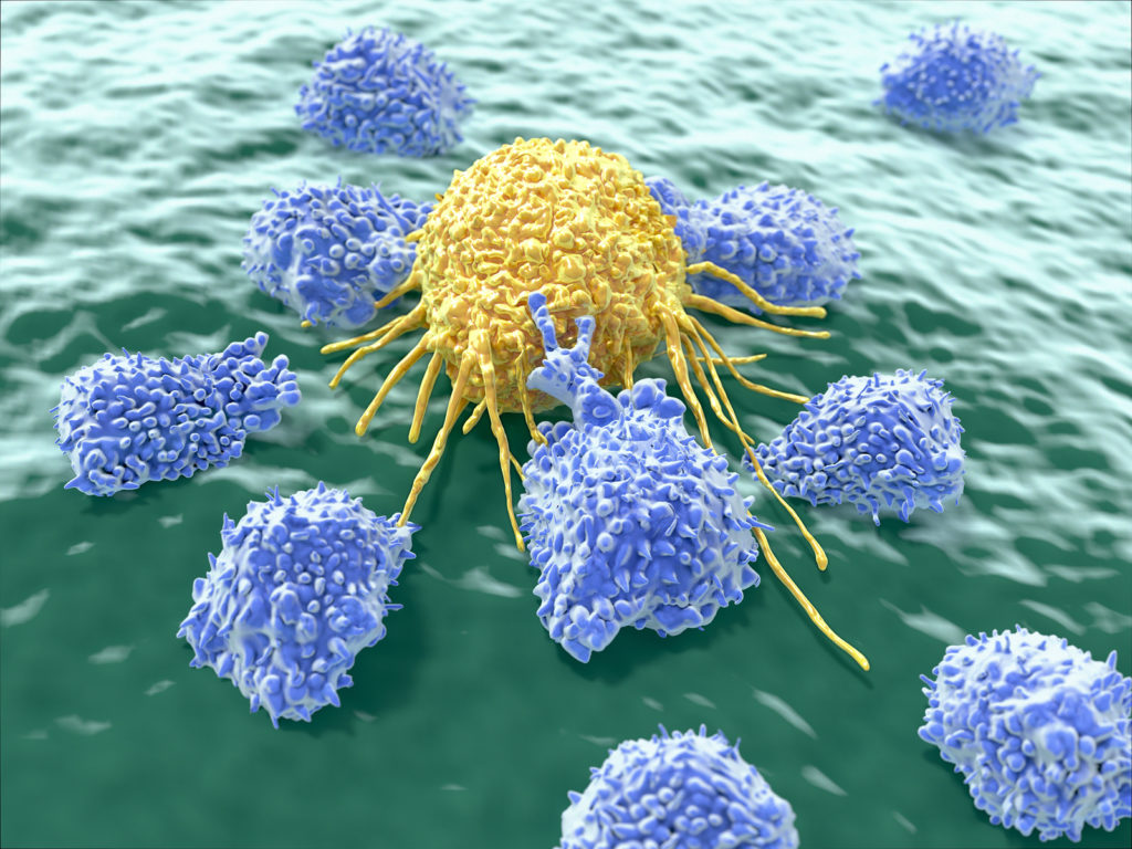 Oncolytic virus destroying cancer cells