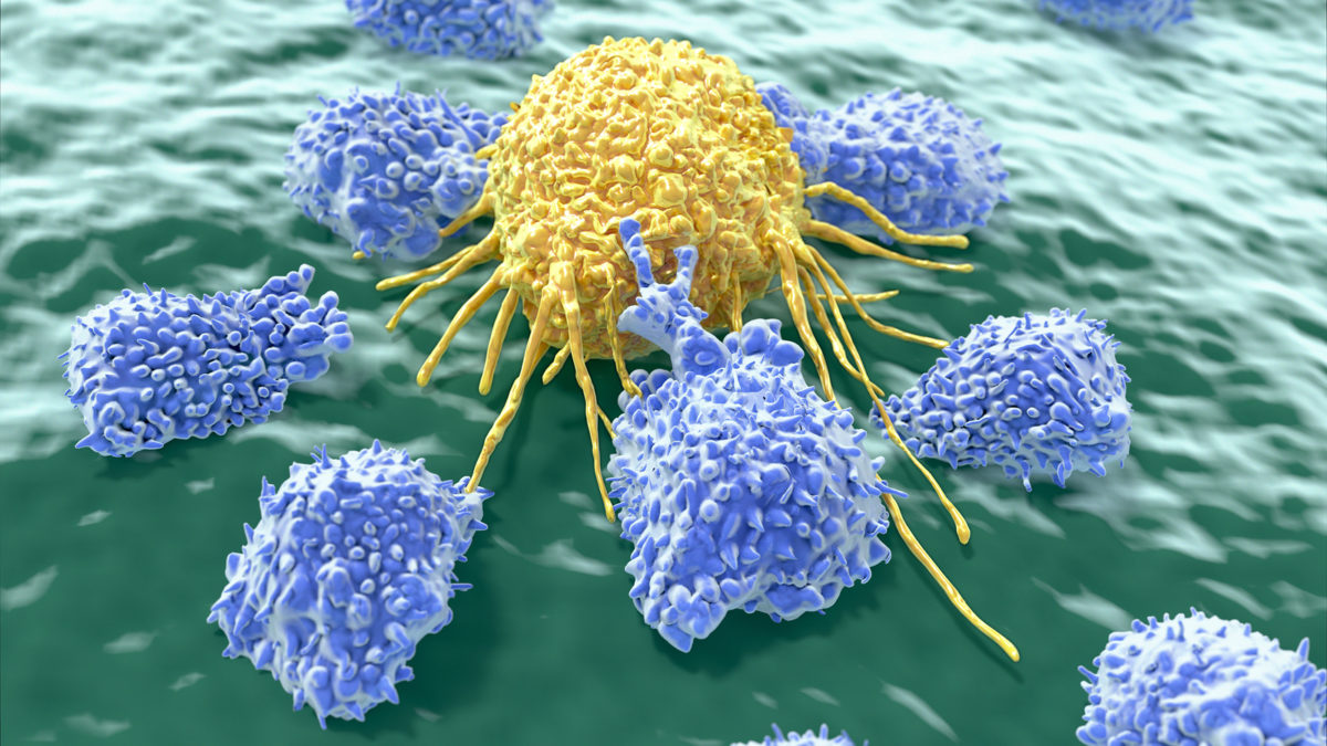 How Oncolytic Viruses Destroy Cancer Cells